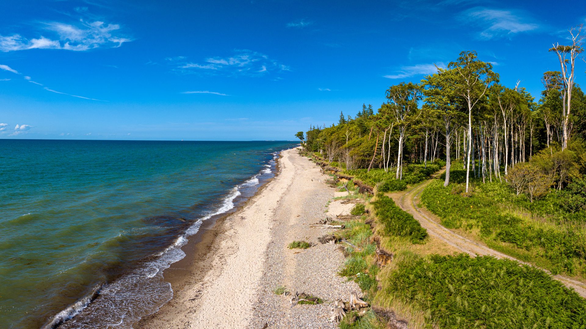 Ostseeküste nahe Graal-Müritz