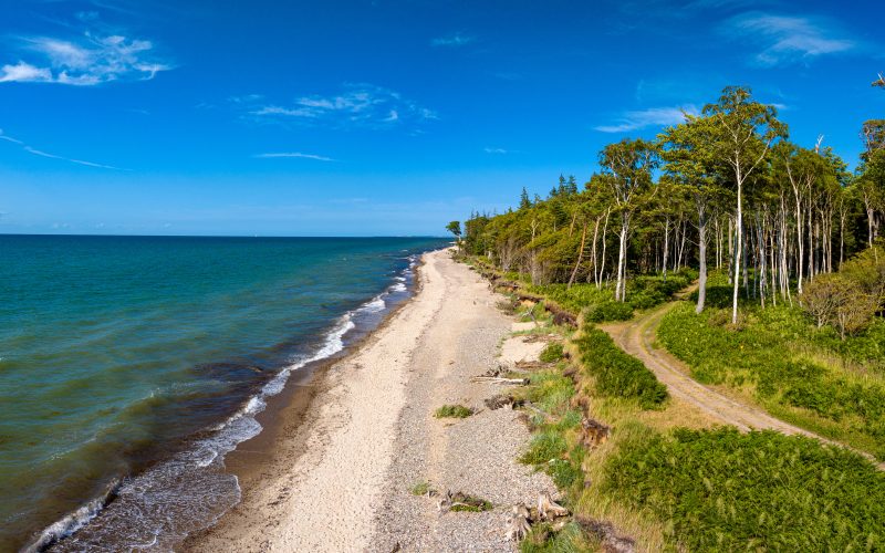 Ostseeküste nahe Graal-Müritz